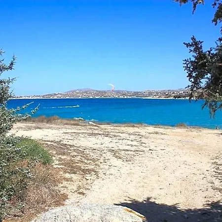 Kolona